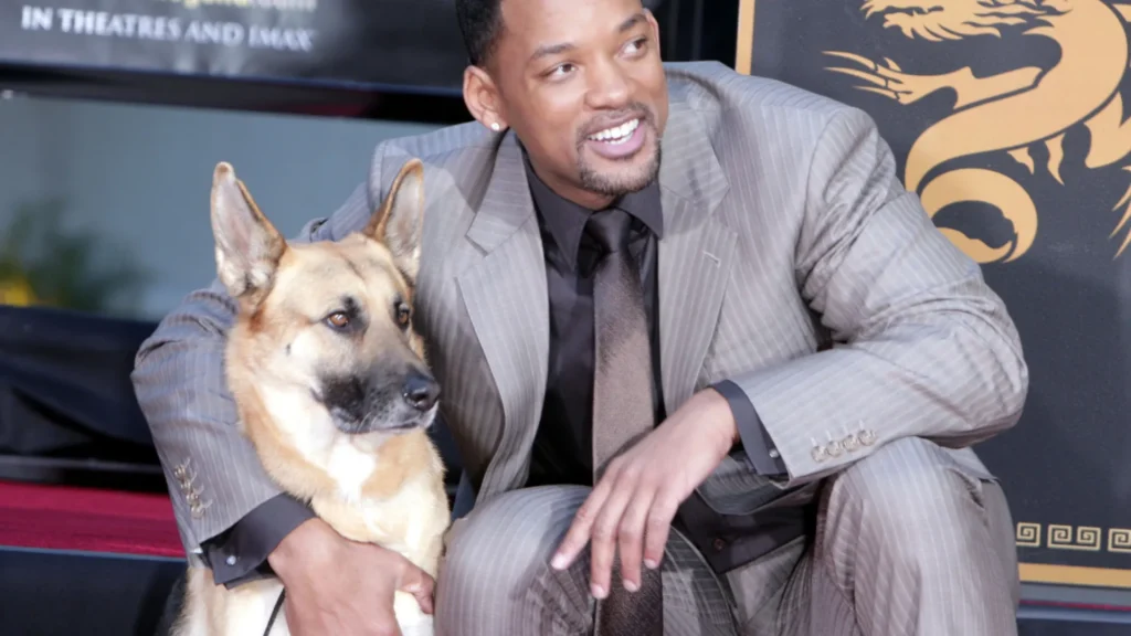 Atores que se apaixonaram pelos animais com os quais contracenaram (alguns até adotaram!) Atores que se apaixonaram pelos animais com os quais contracenaram (alguns até adotaram!)